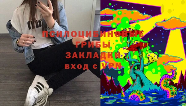 МДМА Новодвинск