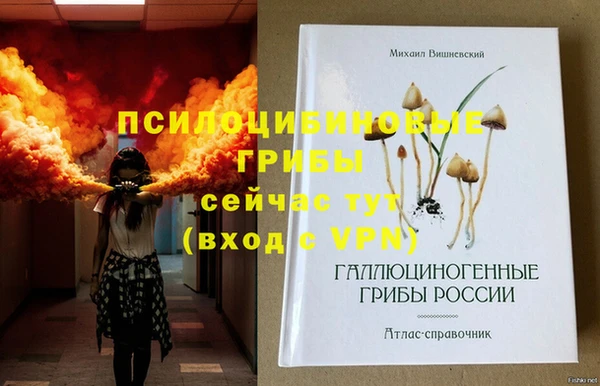 apvp Артём