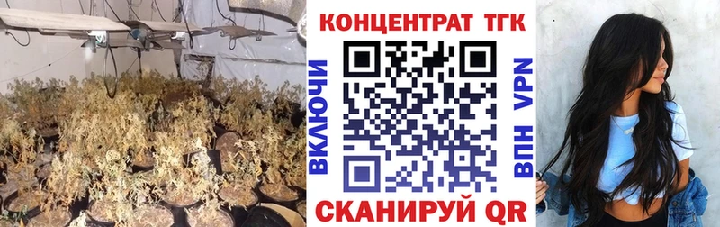 блэк спрут маркетплейс  Кингисепп  Дистиллят ТГК Wax 