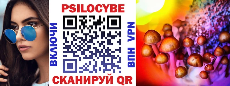 Псилоцибиновые грибы мицелий  сайты даркнета Telegram  Кингисепп 